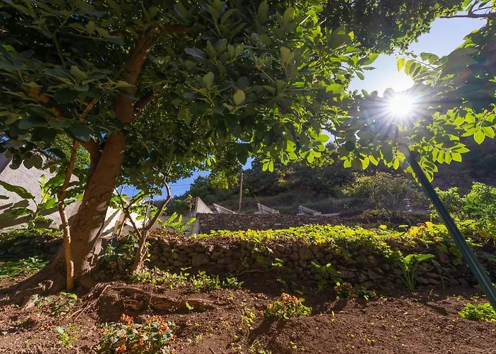 Solar Dos Reis By An Island Apart